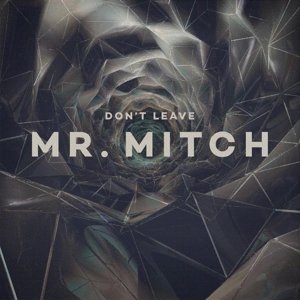 CD Shop - MR. MITCH DON\