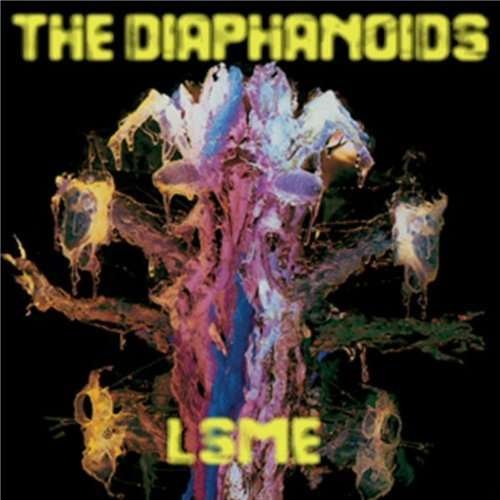 CD Shop - DIAPHANOIDS LSME