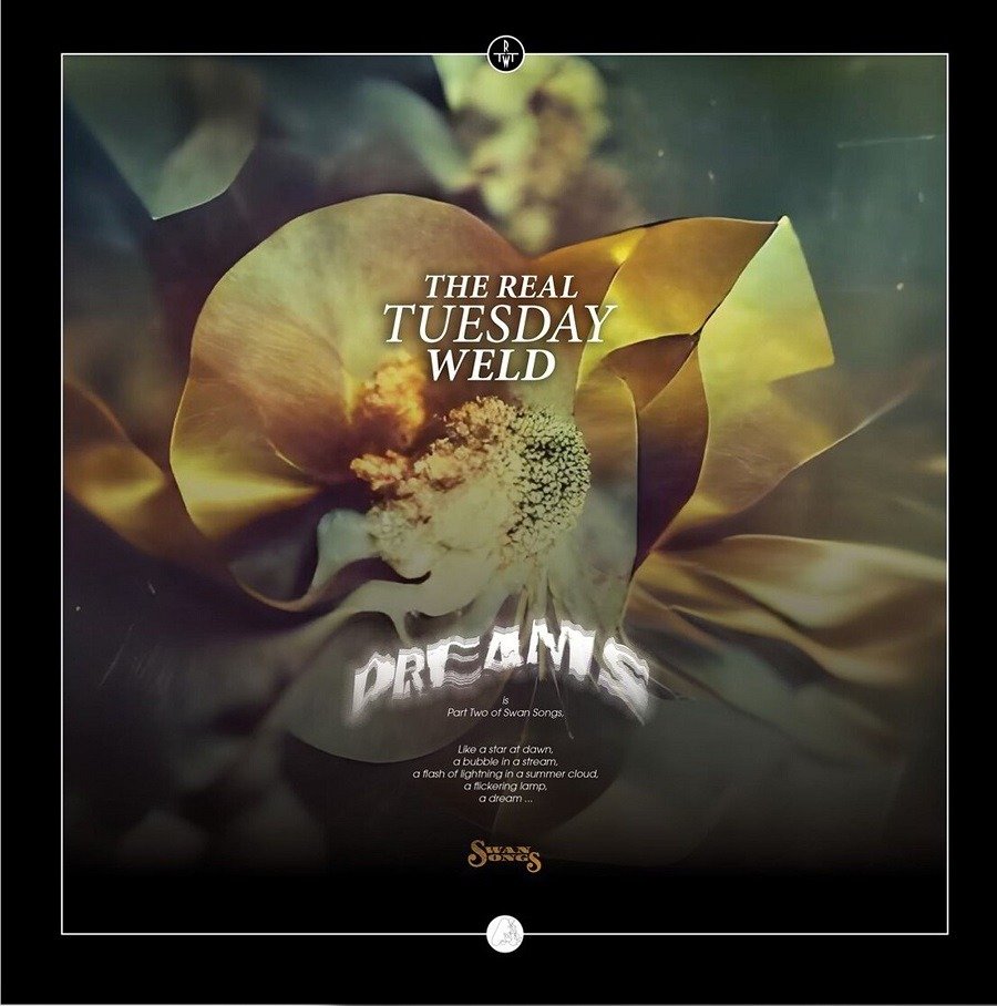CD Shop - REAL TUESDAY WELD DREAMS