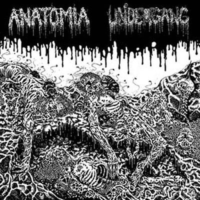 CD Shop - UNDERGANG/ANATOMIA SPLIT LP