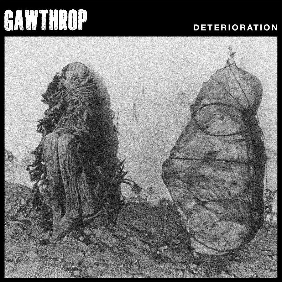 CD Shop - GAWTHROP DETERIORATION