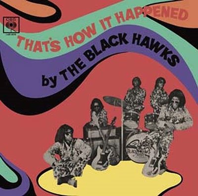 CD Shop - BLACK HAWKS THAT\