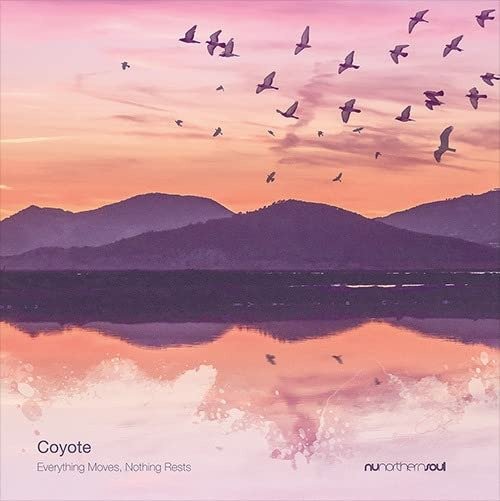 CD Shop - COYOTE EVERYTHING MOVES, NOTHING RESTS