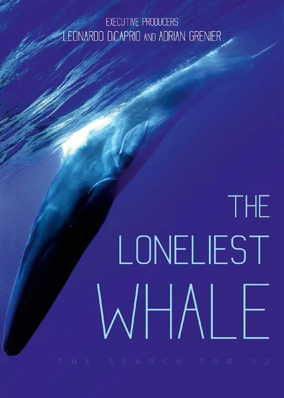 CD Shop - DOCUMENTARY LONELIEST WHALE - THE SEARCH FOR 52