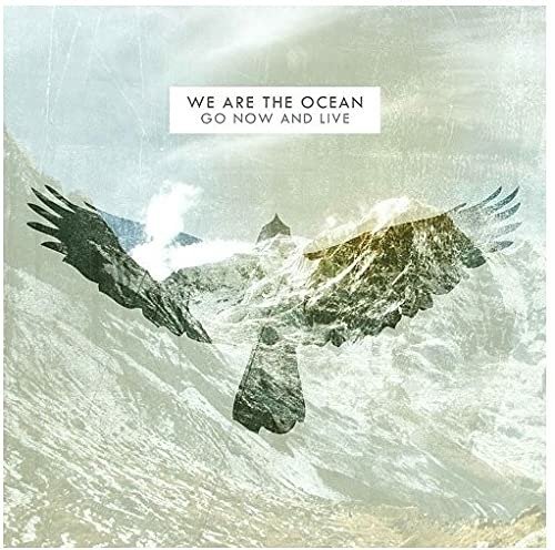 CD Shop - WE ARE THE OCEAN GO NOW & LIVE