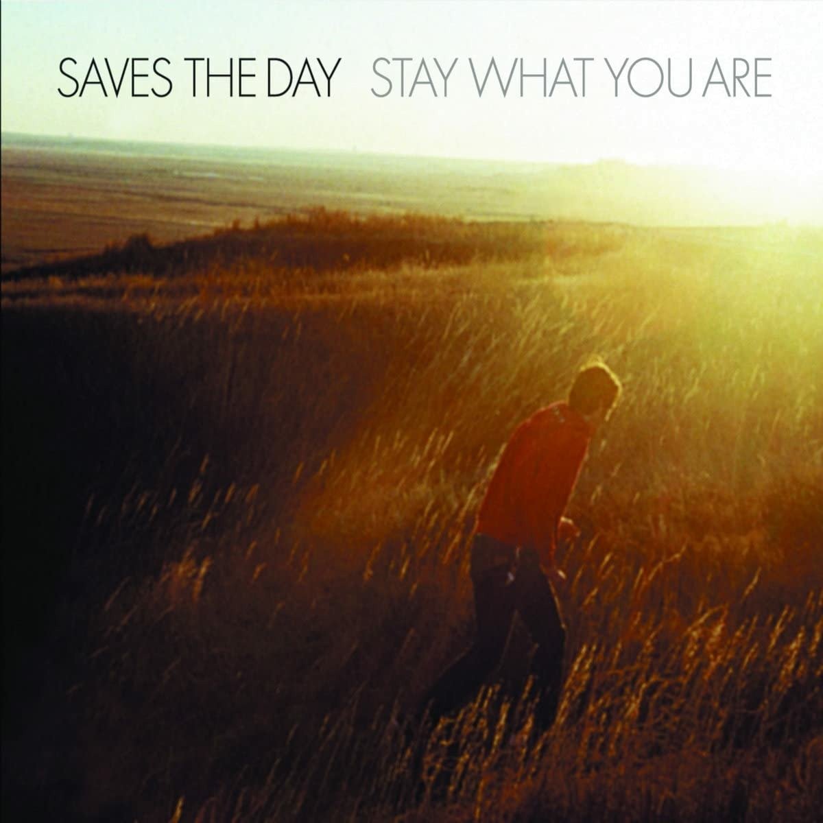 CD Shop - SAVES THE DAY STAY WHAT YOU ARE SPLATT