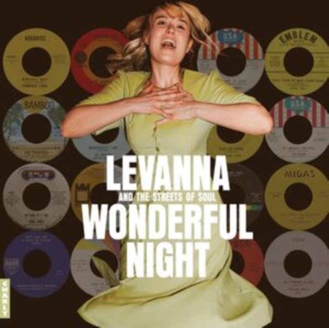 CD Shop - V/A WONDERFUL NIGHT CURATED BY LEVANNA