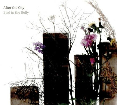 CD Shop - BIRD IN THE BELLY AFTER THE CITY