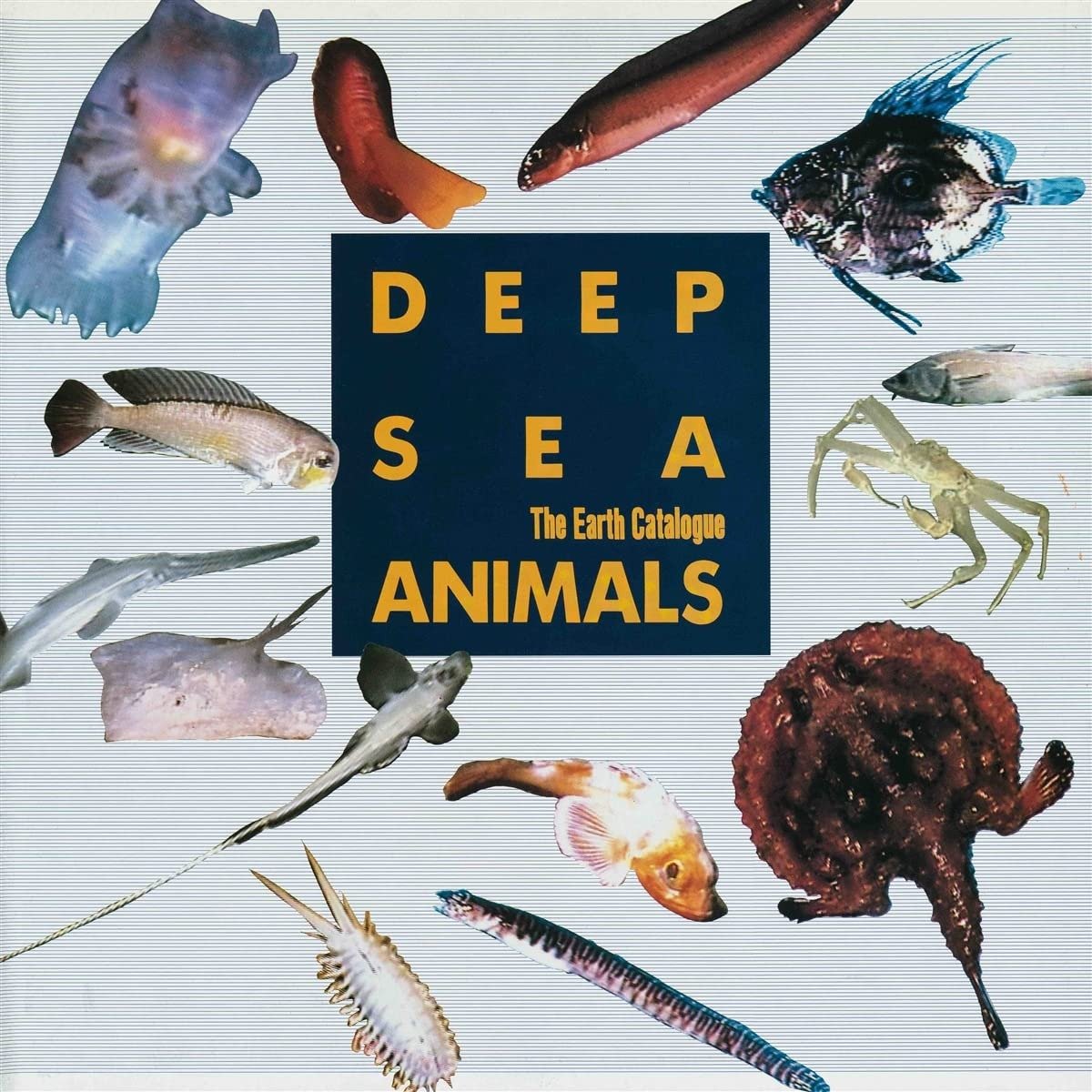 CD Shop - V/A DEEP SEA CREATURES