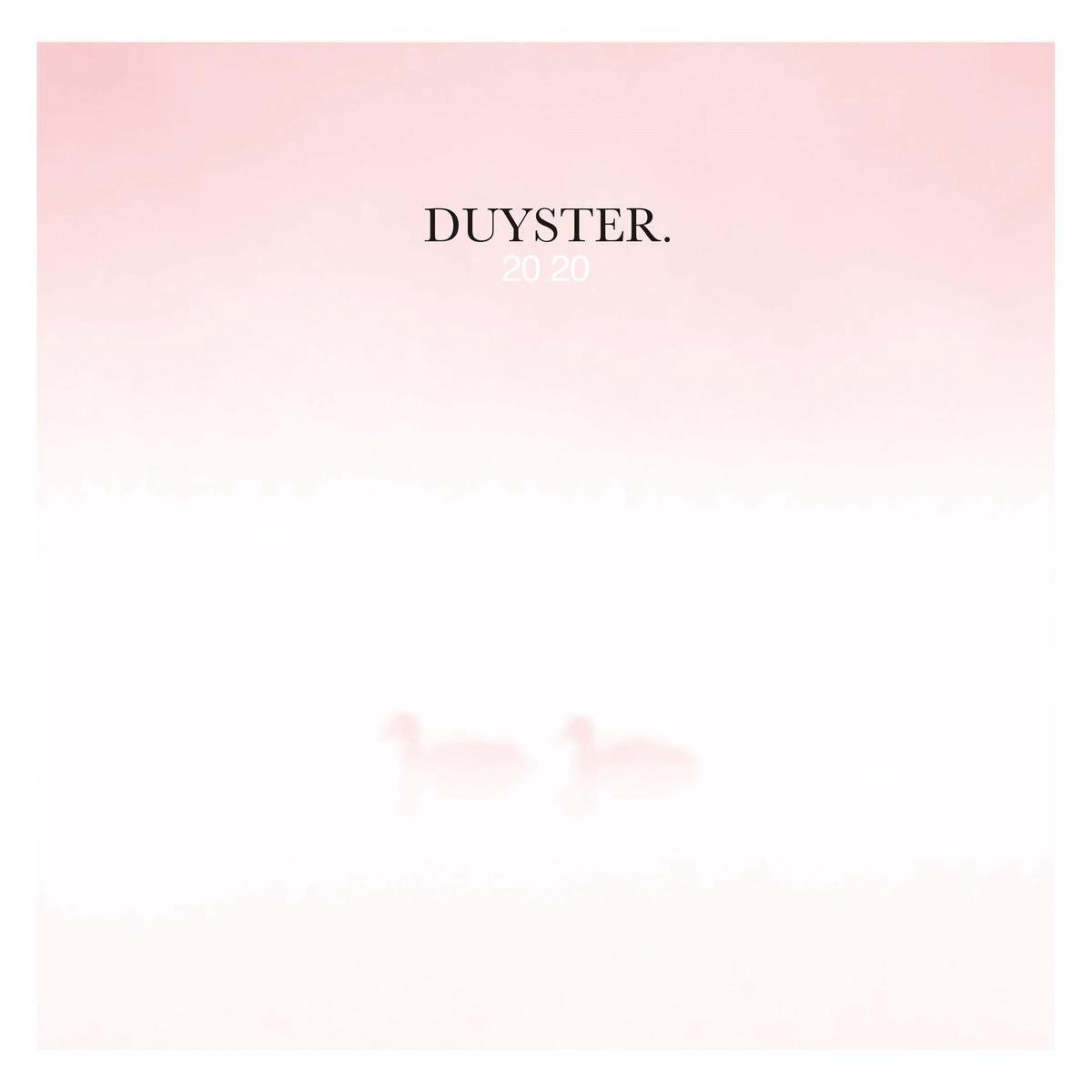 CD Shop - V/A DUYSTER 2020