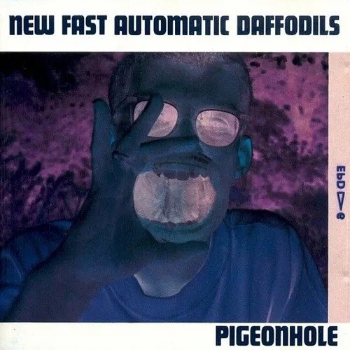 CD Shop - NEW FAST AUTOMATIC DAFFOD PIGEONHOLE