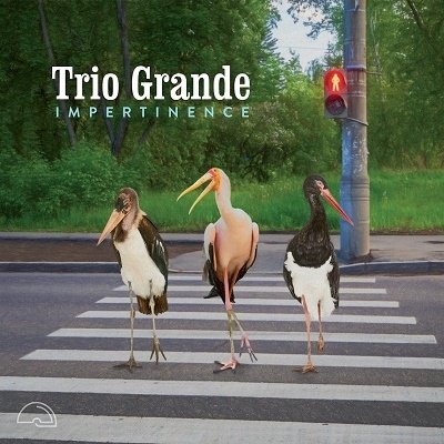 CD Shop - TRIO GRANDE IMPERTINENCE