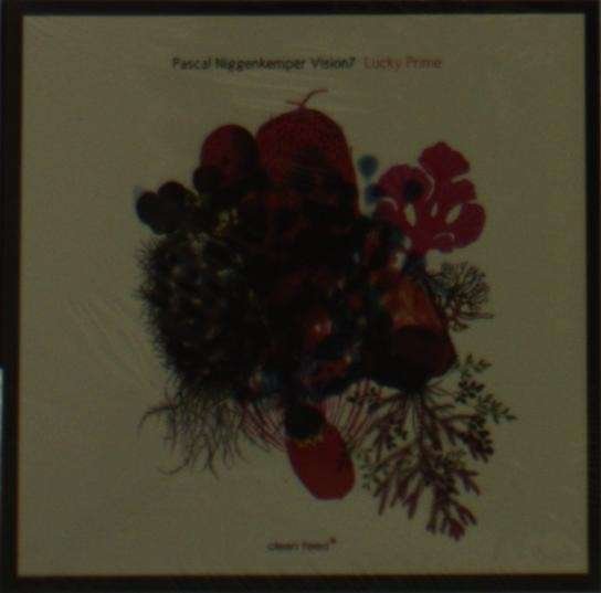 CD Shop - NIGGENKEMPER, PASCAL LUCKY PRIME/VISION 7