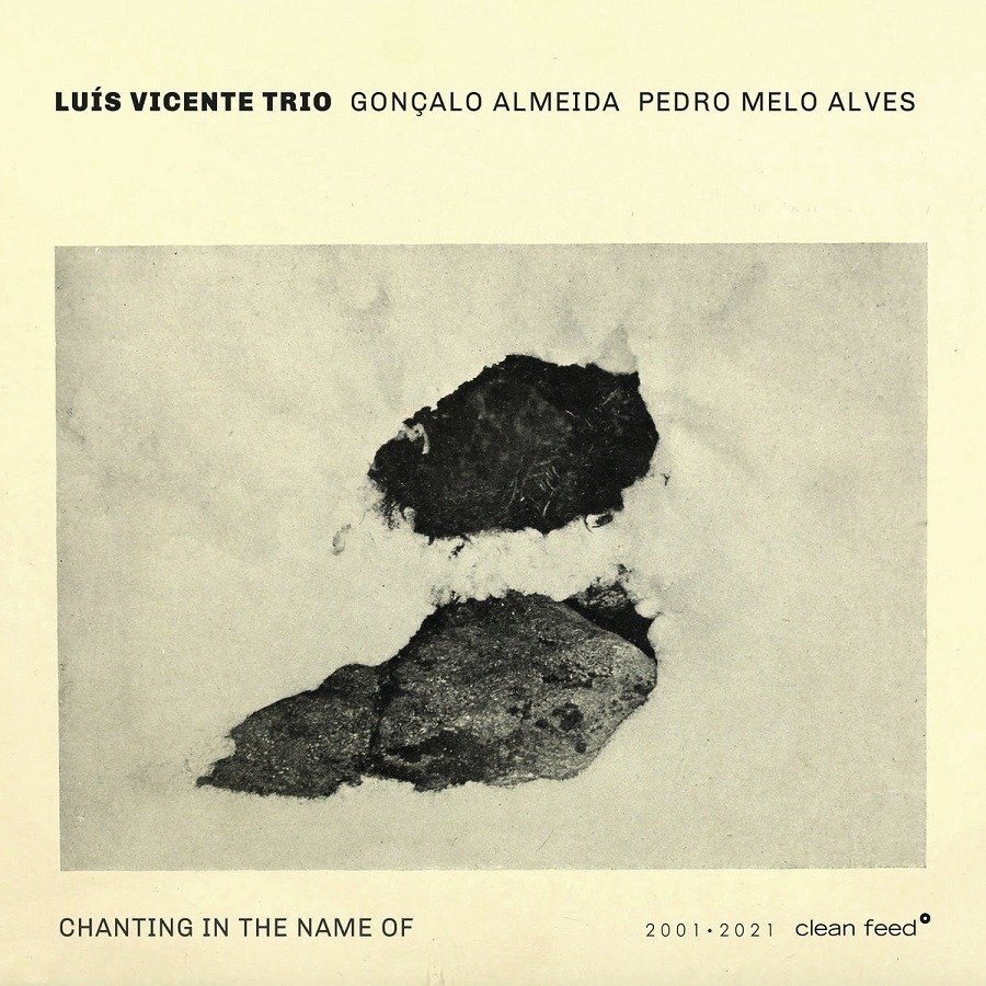 CD Shop - VICENTE, LUIS CHANTING IN THE NAME OF