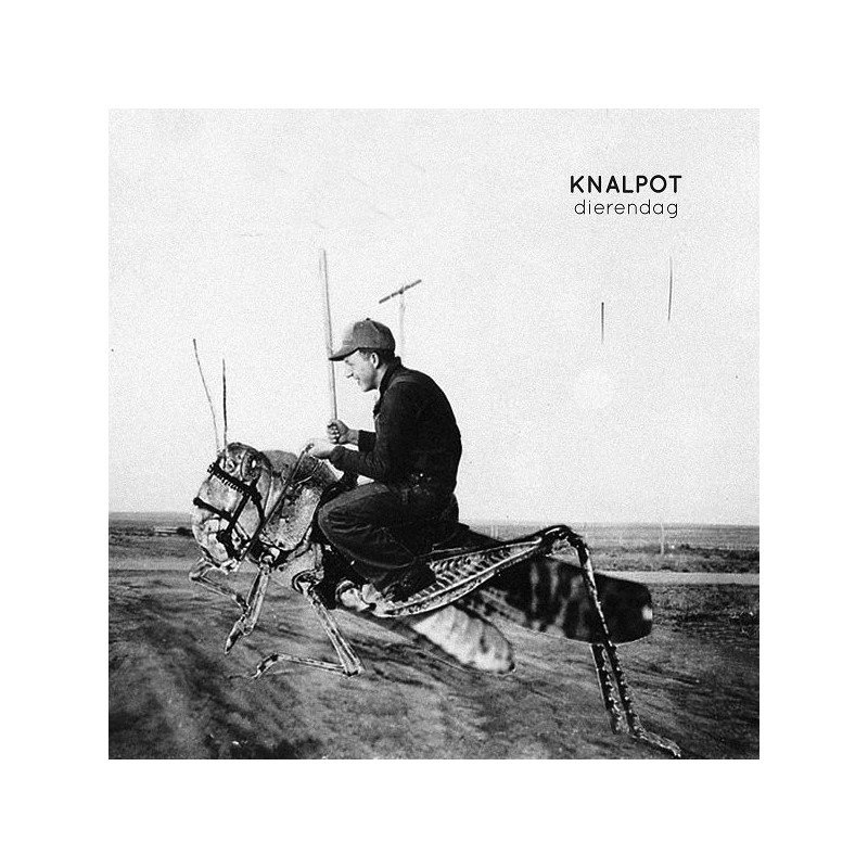 CD Shop - KNALPOT DIERENDAG