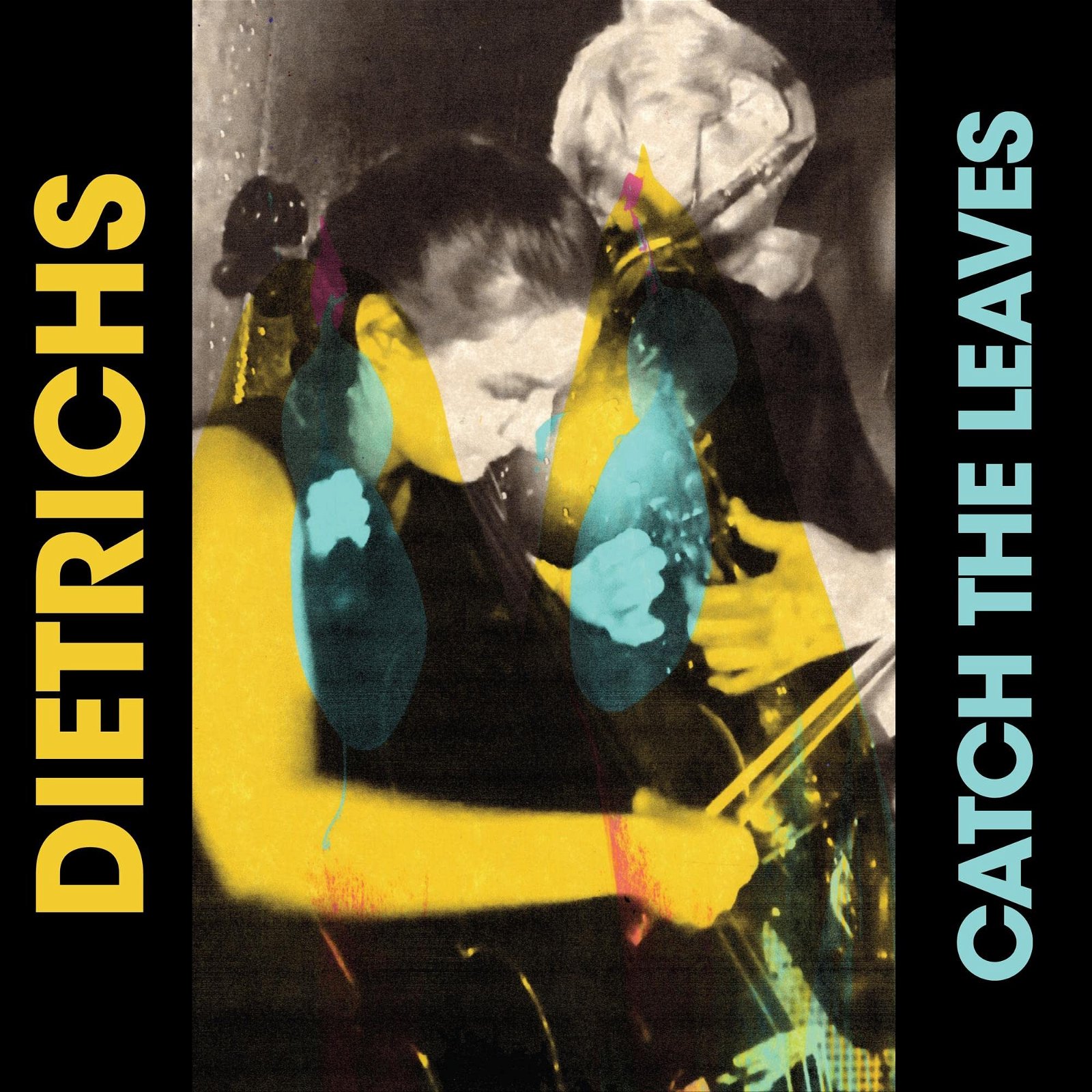 CD Shop - DIETRICHS CATCH THE LEAVES