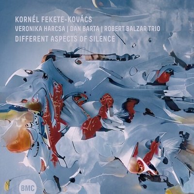 CD Shop - FEKETE-KOVACS, KORNEL DIFFERENT ASPECTS OF SILENCE