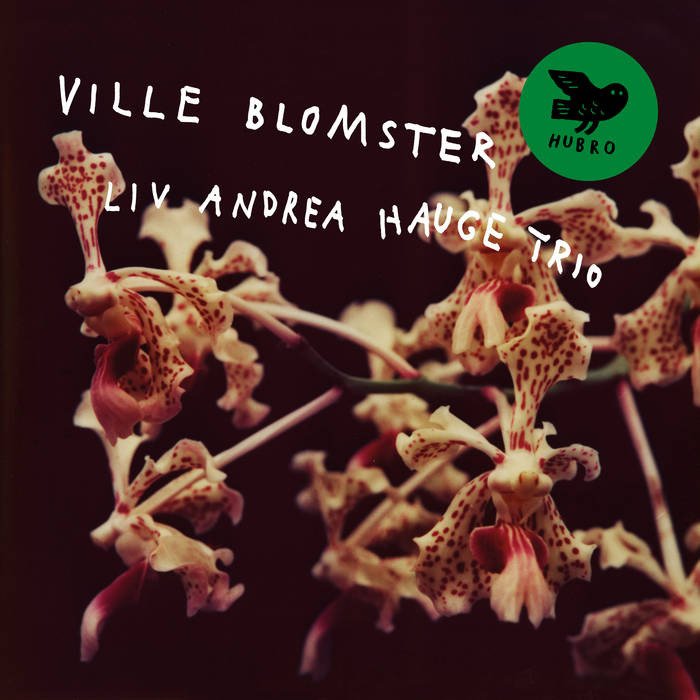 CD Shop - LIV ANDREA HAUGE TRIO VILLE BLOMSTER