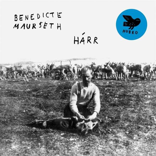 CD Shop - MAURSETH, BENEDICTE HARR