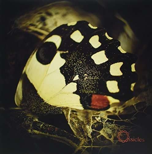 CD Shop - OSSICLES MUSIC FOR WASTELANDS