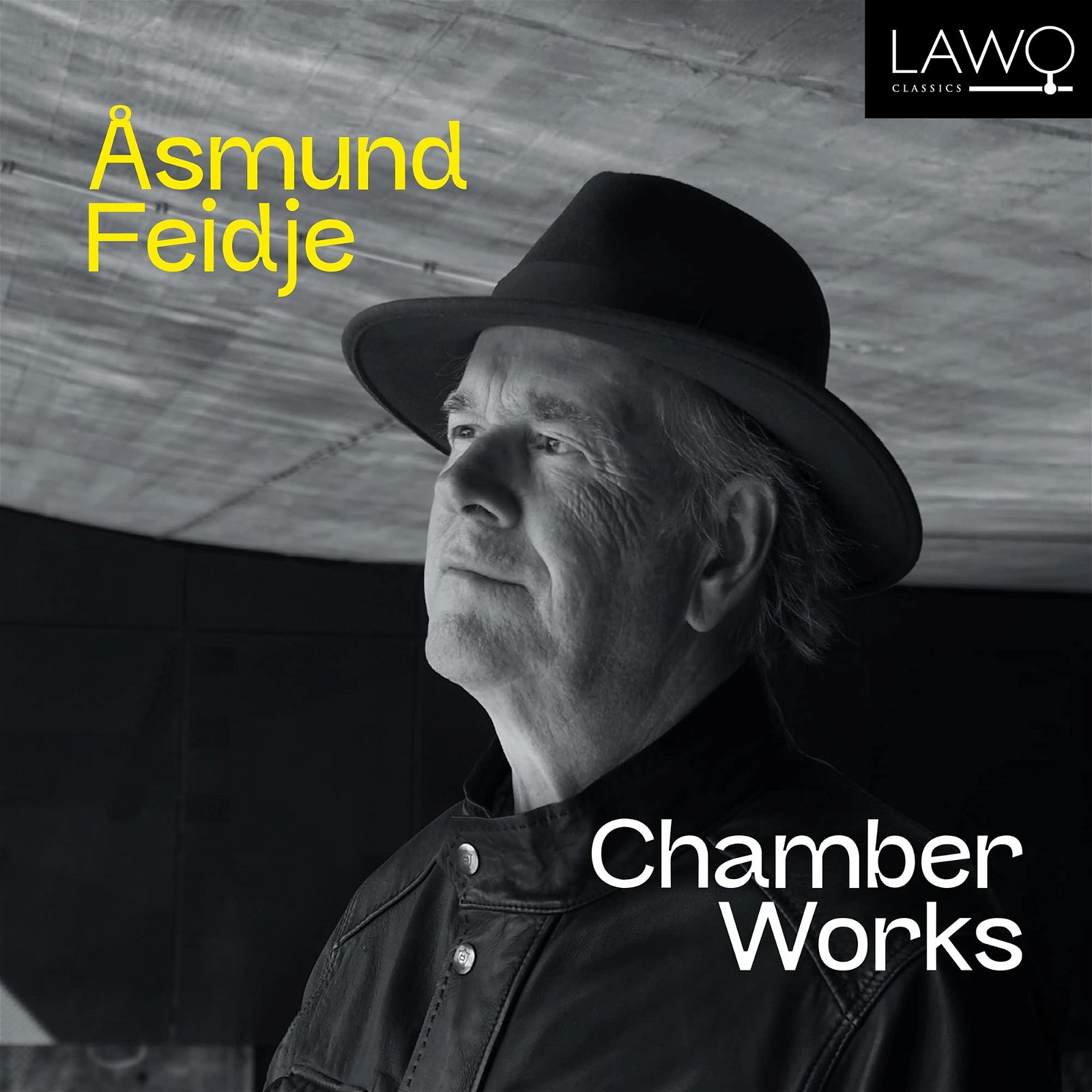 CD Shop - V/A ASMUND FEIDJE: CHAMBER WORKS