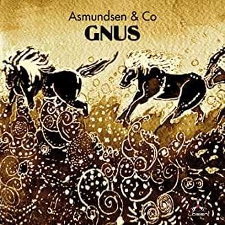 CD Shop - ASMUNDSEN & CO GNUS