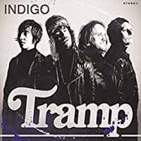 CD Shop - TRAMP INDIGO