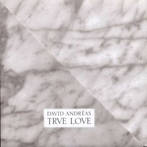 CD Shop - DAVID, ANDREAS TRUE LOVE