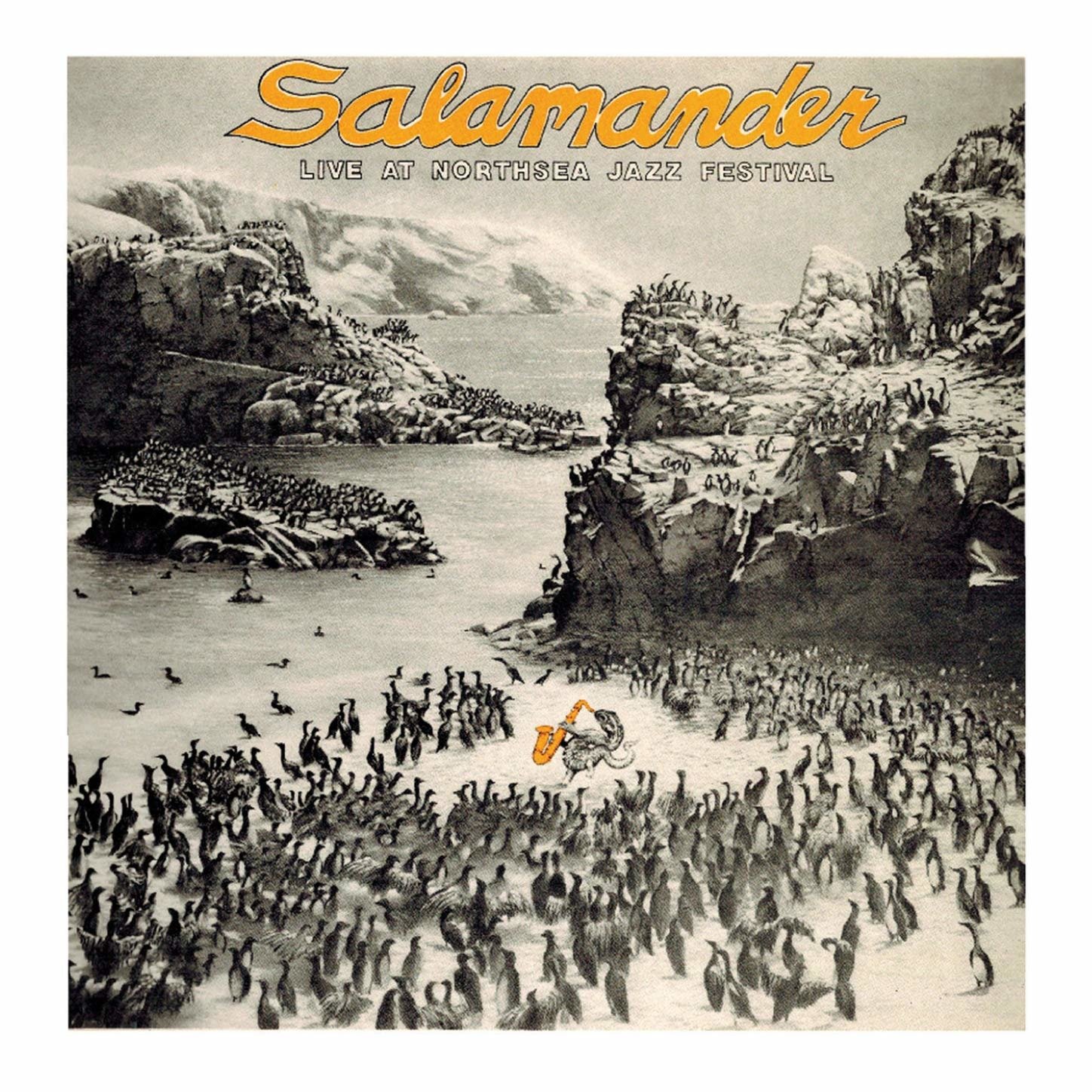 CD Shop - SALAMANDER LIVE AT NORTH SEA JAZZ FESTIVAL