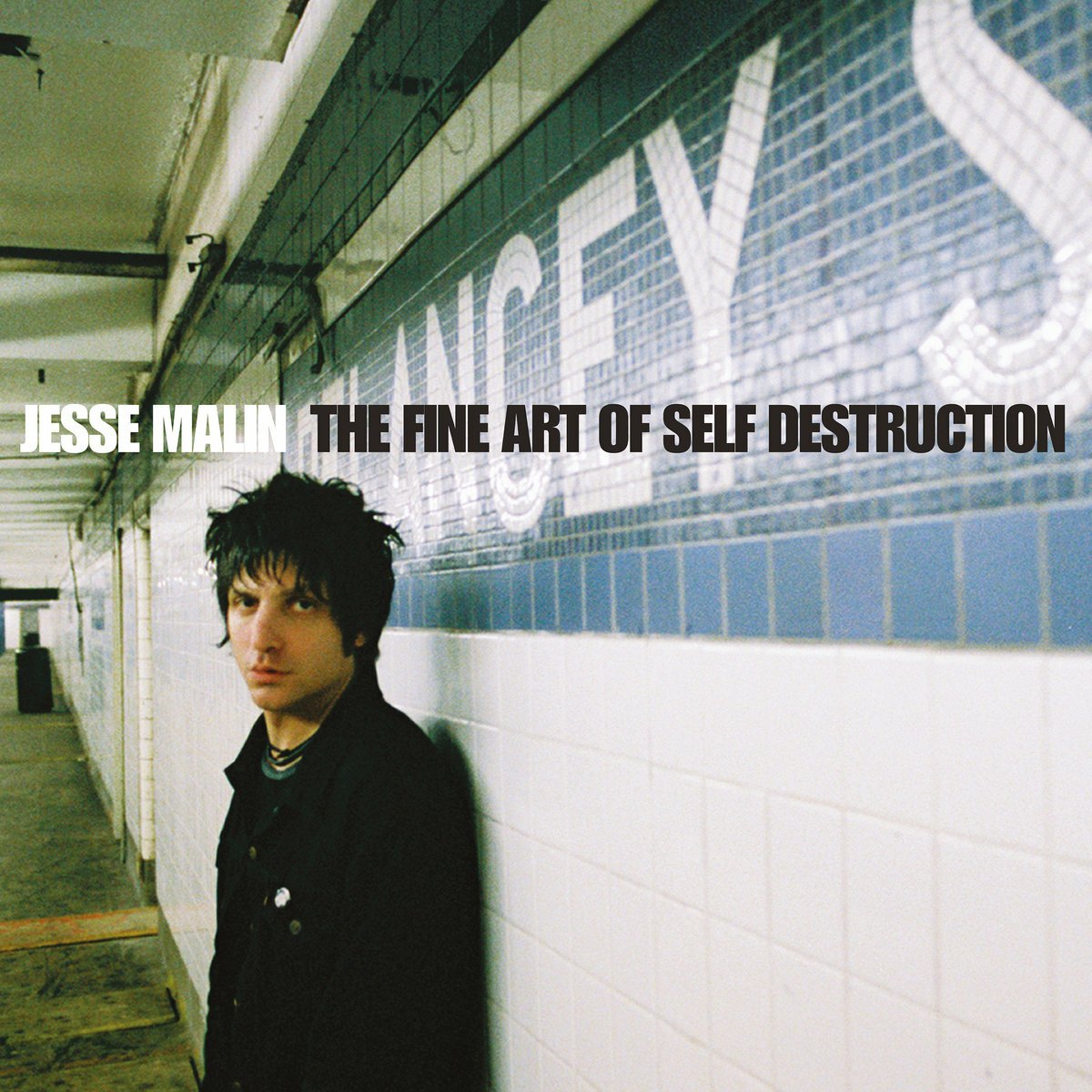 CD Shop - MALIN, JESSE FINE ART OF SELF DESTRUCTION