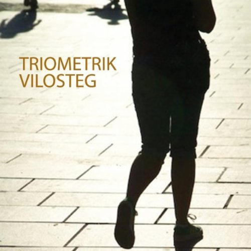 CD Shop - TRIOMETRIK VILOSTEG
