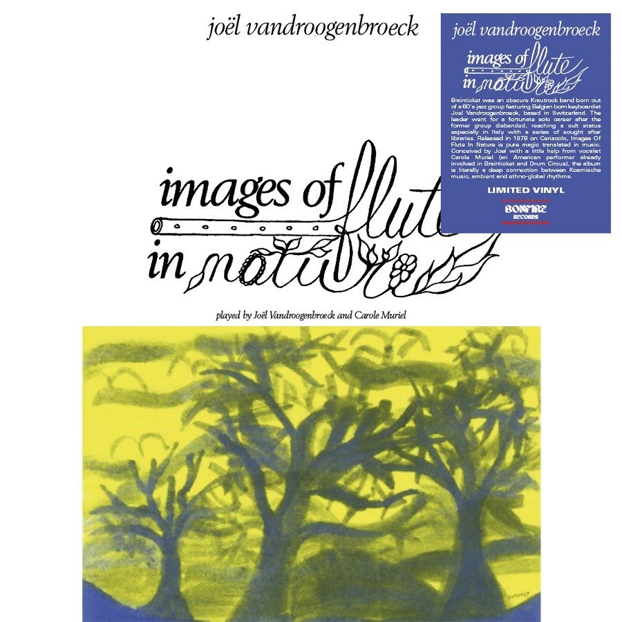CD Shop - VANDROOGENBROECK, JOEL IMAGES OF FLUTE IN NATURE