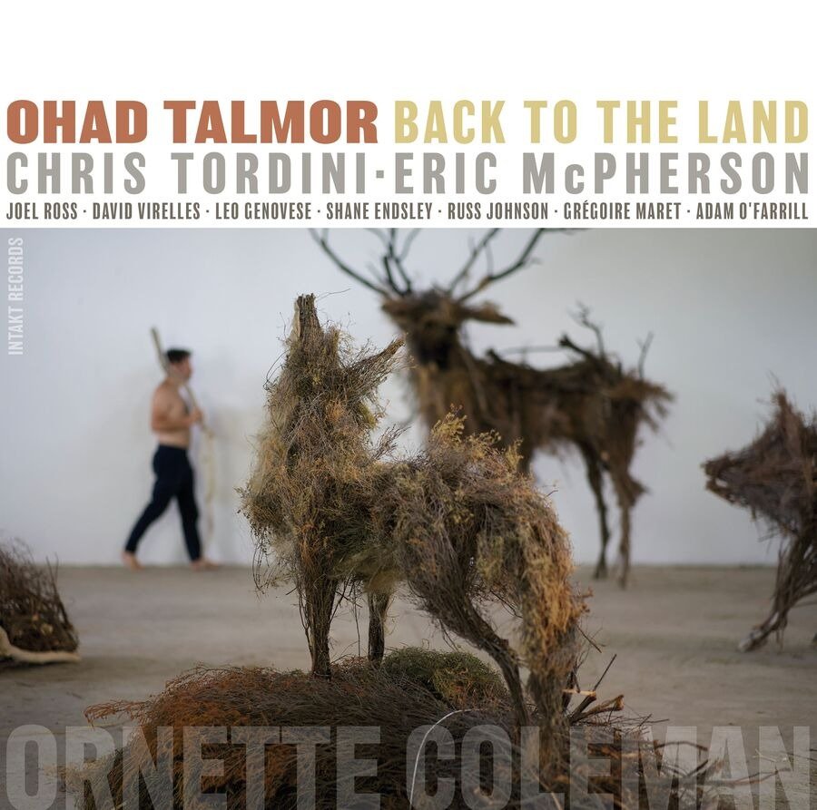CD Shop - TALMOR, OHAD / CHRIS TORD BACK TO THE LAND