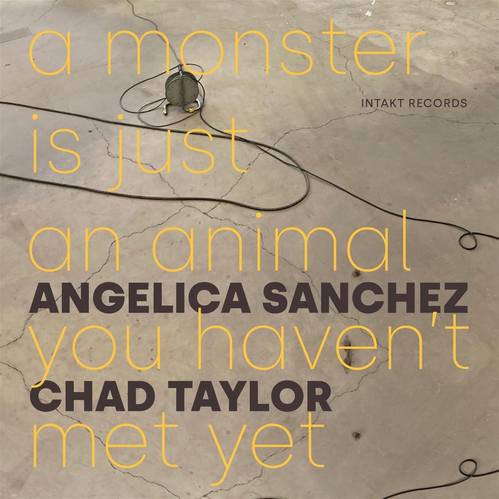 CD Shop - SANCHEZ, ANGELICA & CH... A MONSTER IS JUST AN ANIMAL YOU HAVEN\