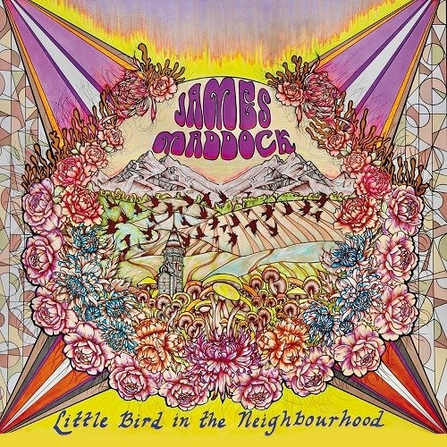 CD Shop - MADDOCK, JAMES LITTLE BIRD IN THE NEIGHBOURHOOD