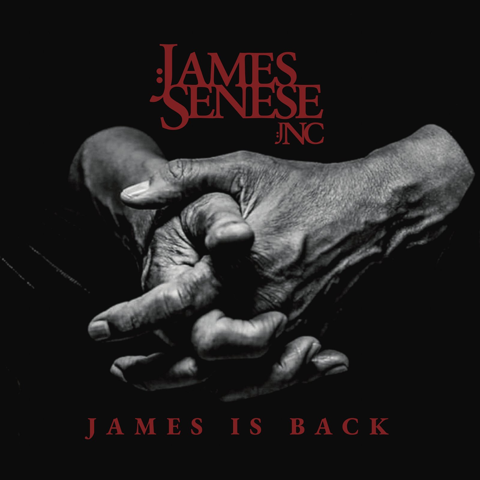 CD Shop - SENESE, JAMES & NAPOL JAMES IS BACK
