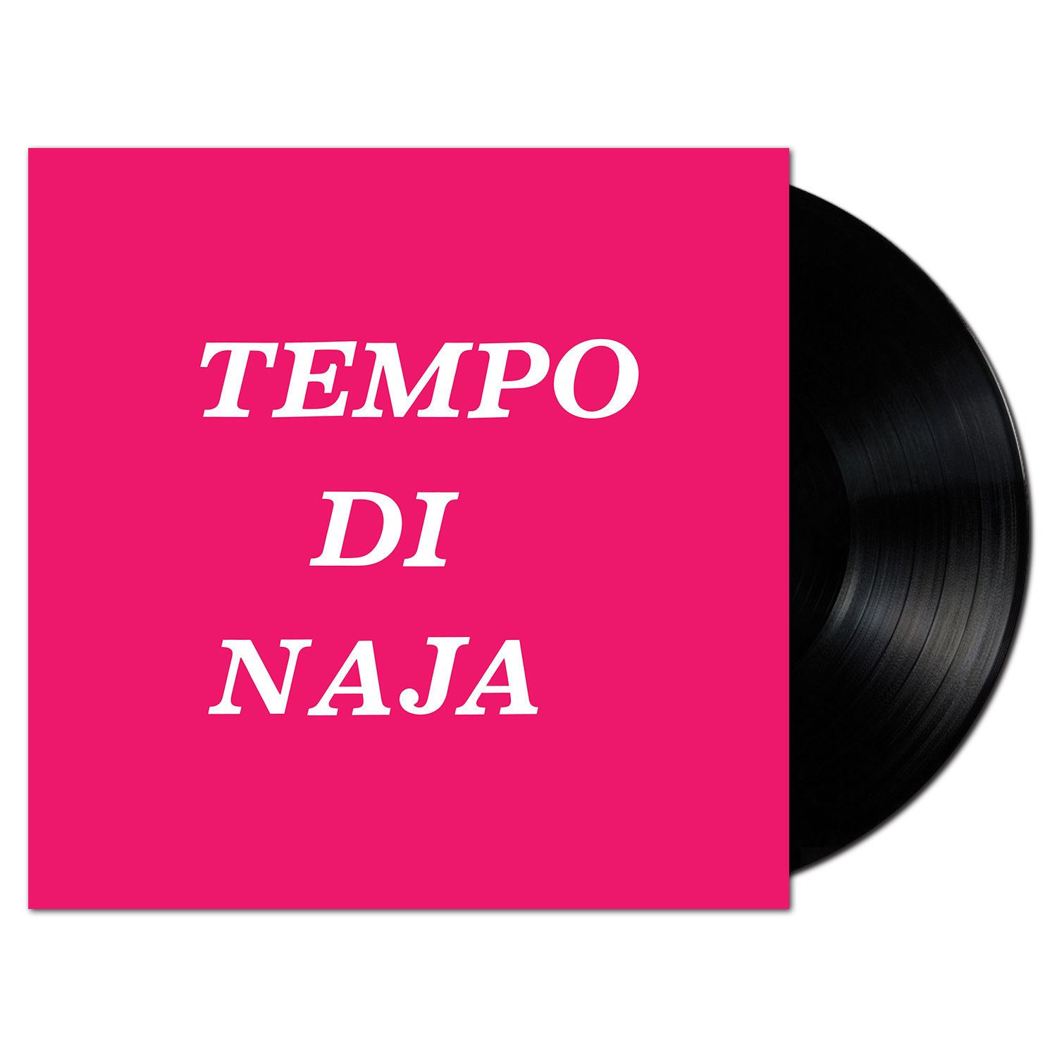 CD Shop - DUCROS, REMIGIO TEMPO DI NAJA