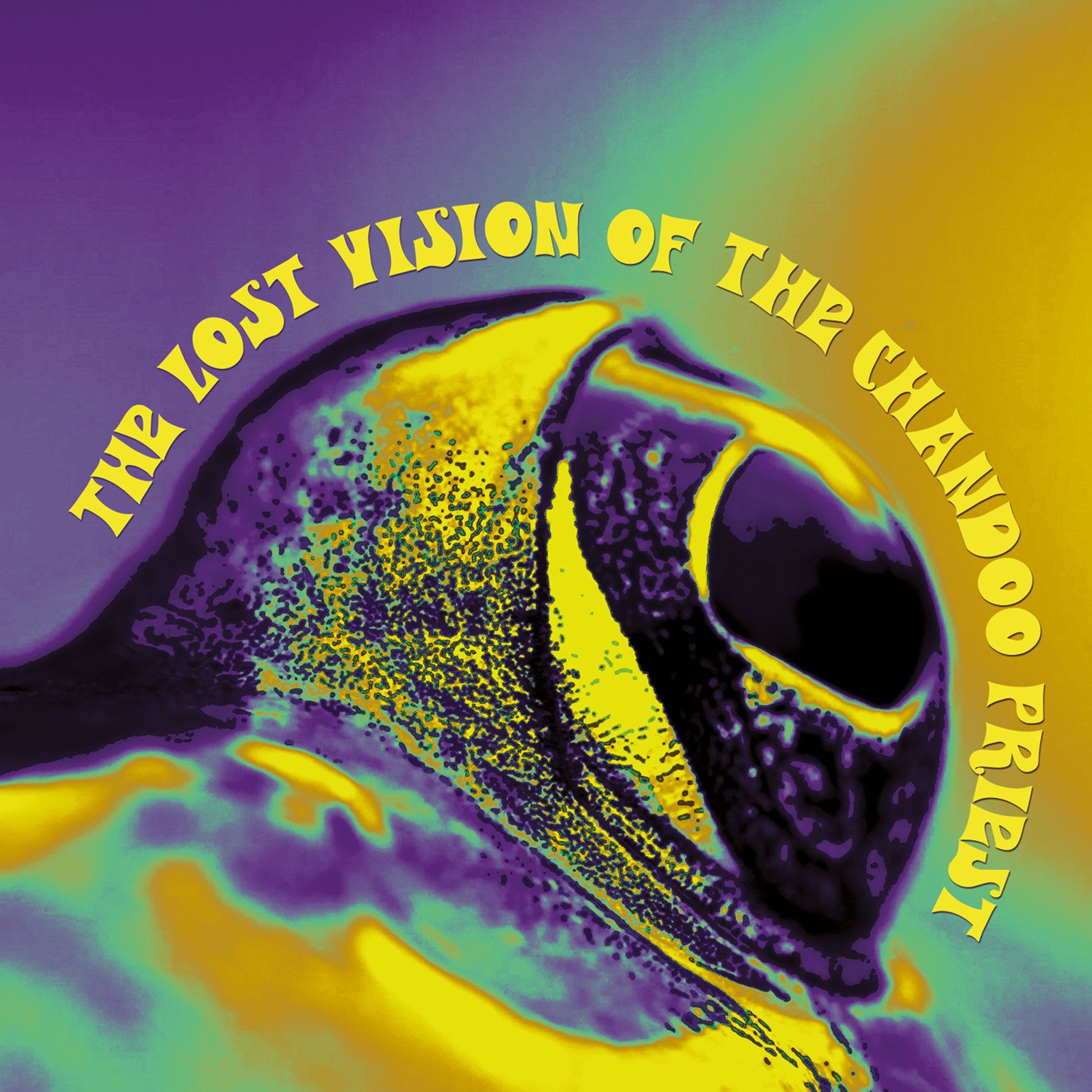 CD Shop - LOST VISION OF THE CHANDO THE LOST VISION OF THE CHANDOO PRIEST