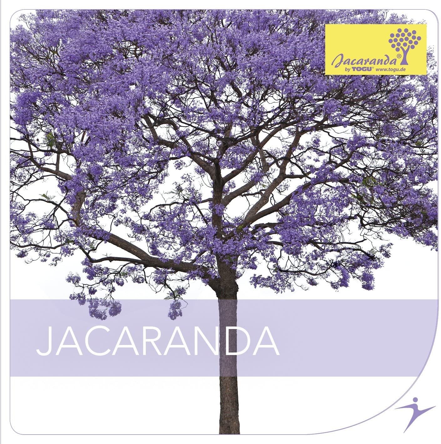CD Shop - JACARANDA JACARANDA