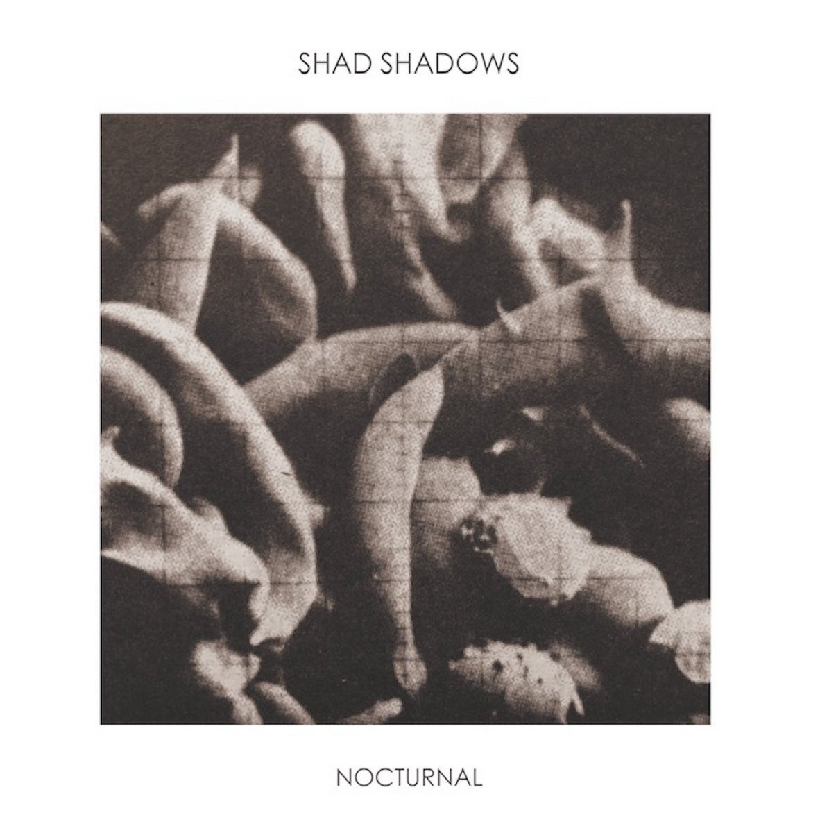 CD Shop - SHAD SHADOWS NOCTURNAL