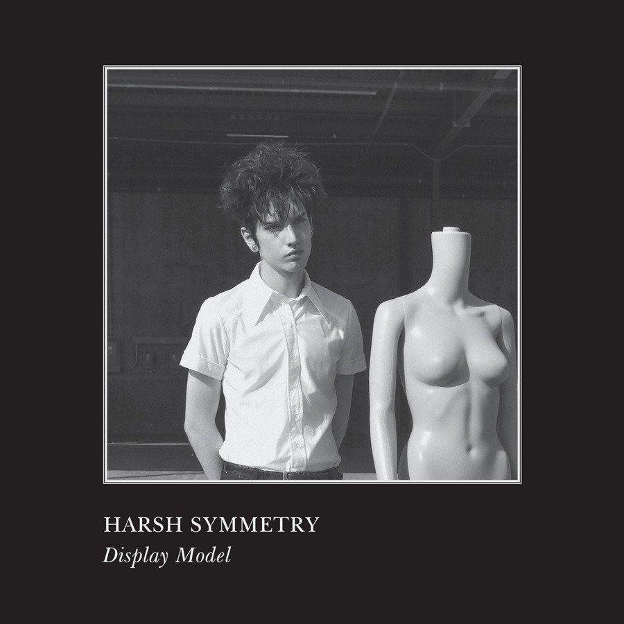 CD Shop - HARSH SYMMETRY DISPLAY MODEL
