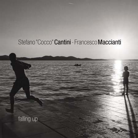 CD Shop - CANTINI, STEFANO / FRANCE FALLING UP