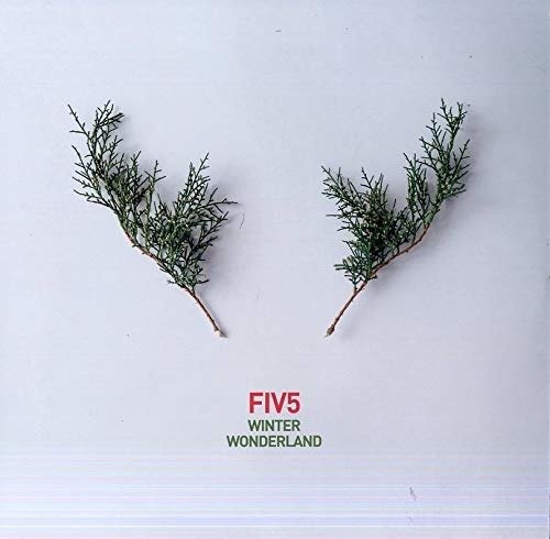 CD Shop - FIV5 WINTER WONDERLAND
