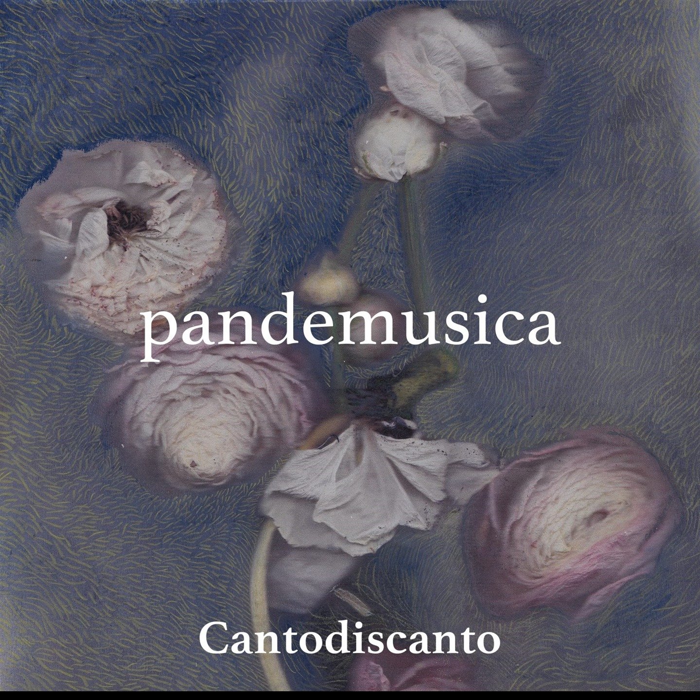 CD Shop - CANTODISCANTO PANDEMUSICA