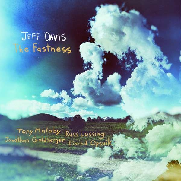 CD Shop - DAVIS, JEFF FASTNESS