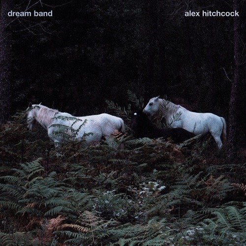 CD Shop - HITCHCOCK, ALEX DREAM BAND