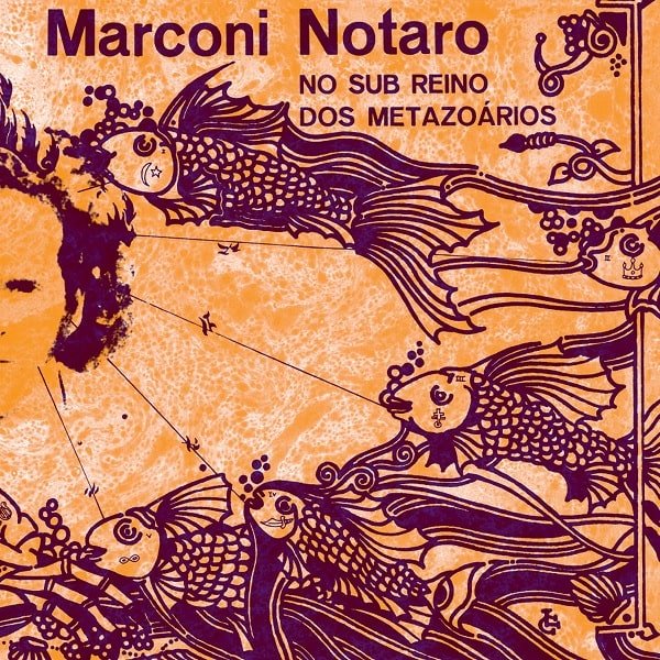 CD Shop - NOTARO, MARCONI NO SUB REINO DOS METAZOARIOS