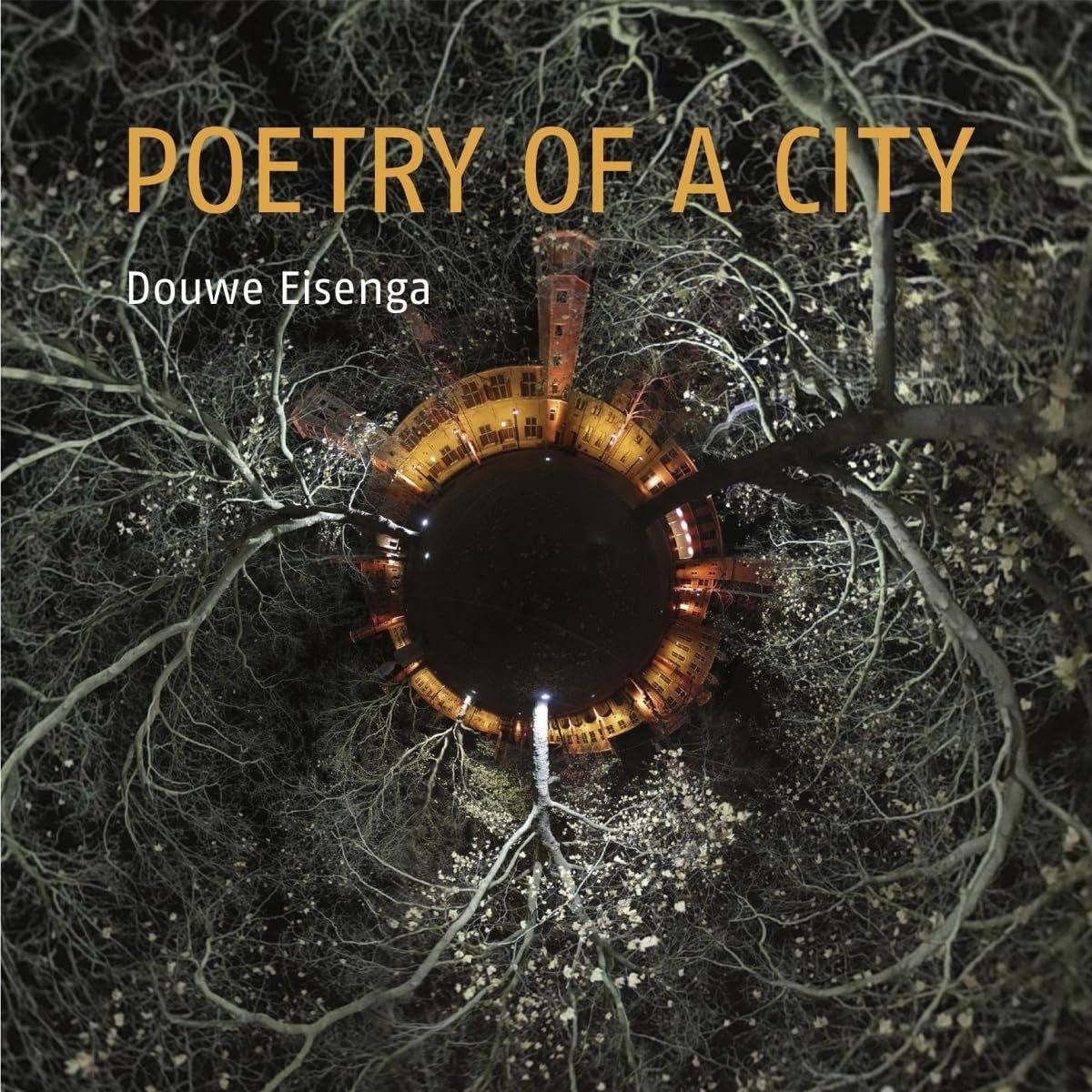 CD Shop - EISENGA, DOUWE POETRY OF A CITY