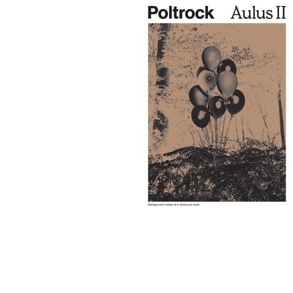 CD Shop - POLTROCK AULUS II