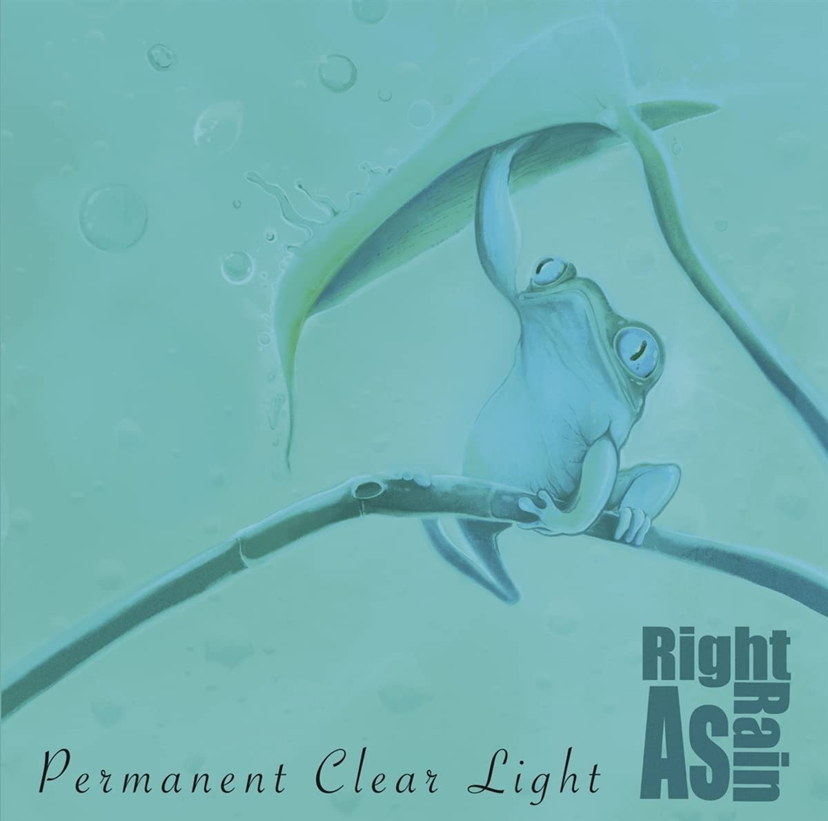 CD Shop - PERMANENT CLEAR LIGHT RIGHT AS RAIN